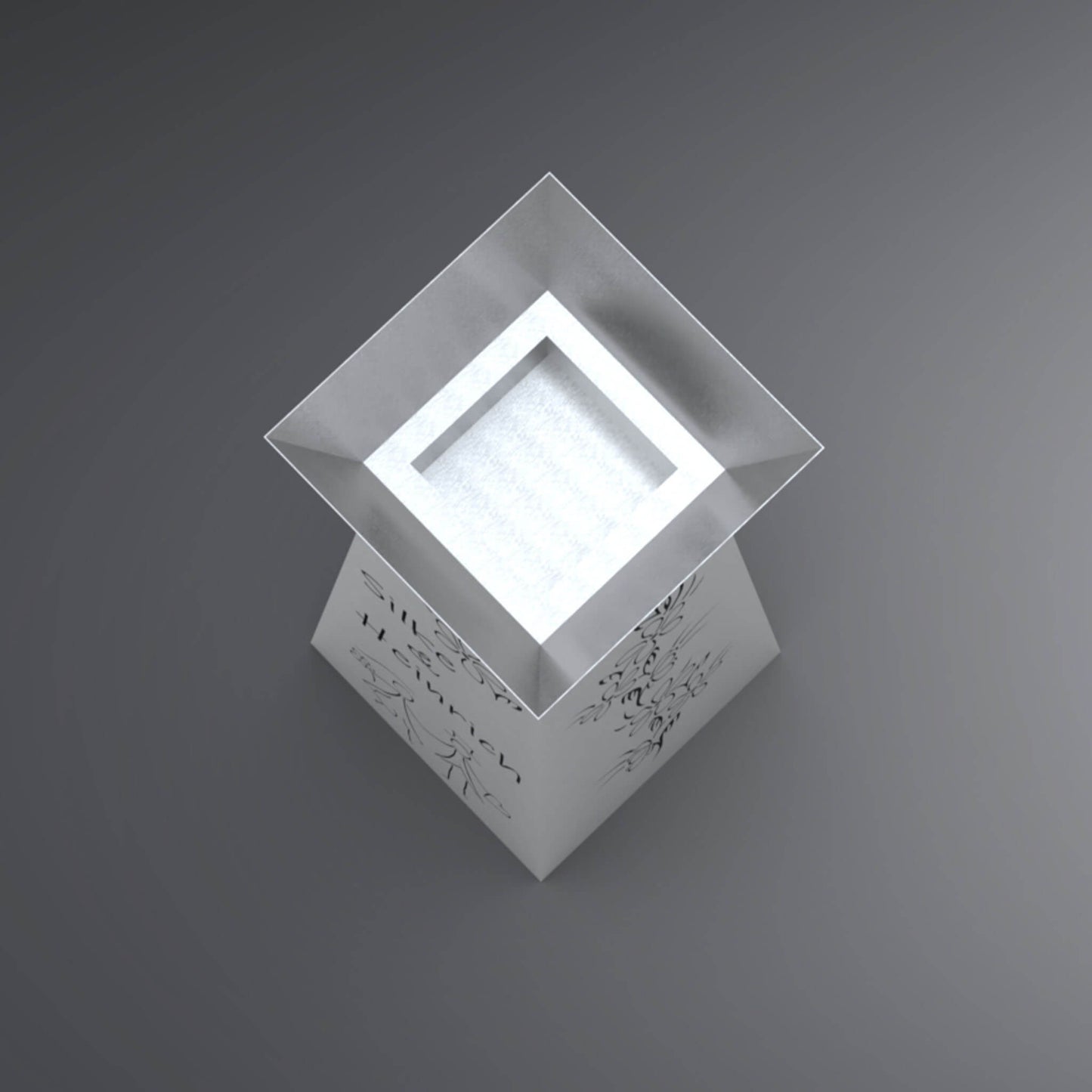 Ansicht in deine rechteckige Pflanzenschale von oben